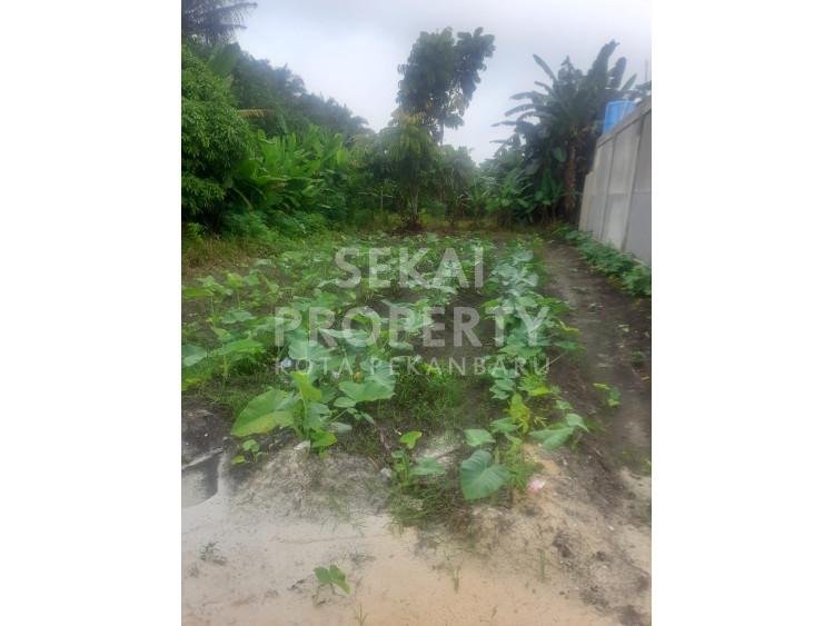 Dijual sebidang tanah di jl.rawa bening sidomulyo barat-pekanbaru