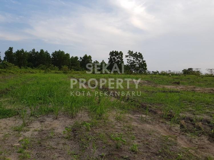 Dijual tanah di Kualu nenas / Kampar