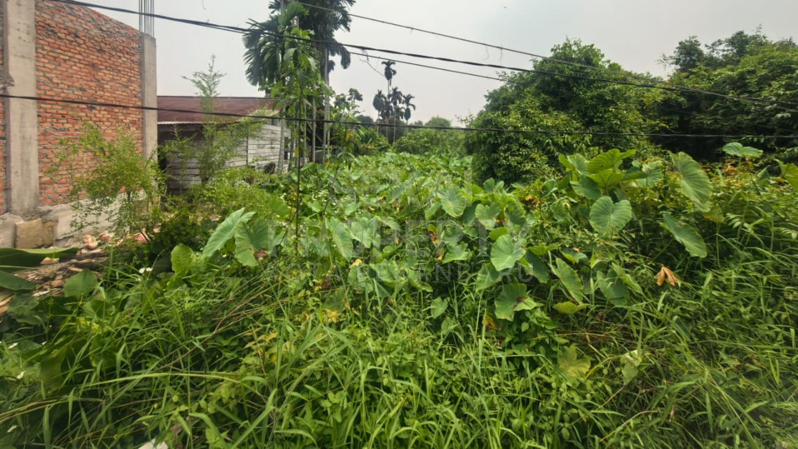 Dijual Tanah Tepi Jalan Lokasi Di Jl. Cinta Damai / Soekarno Hatta