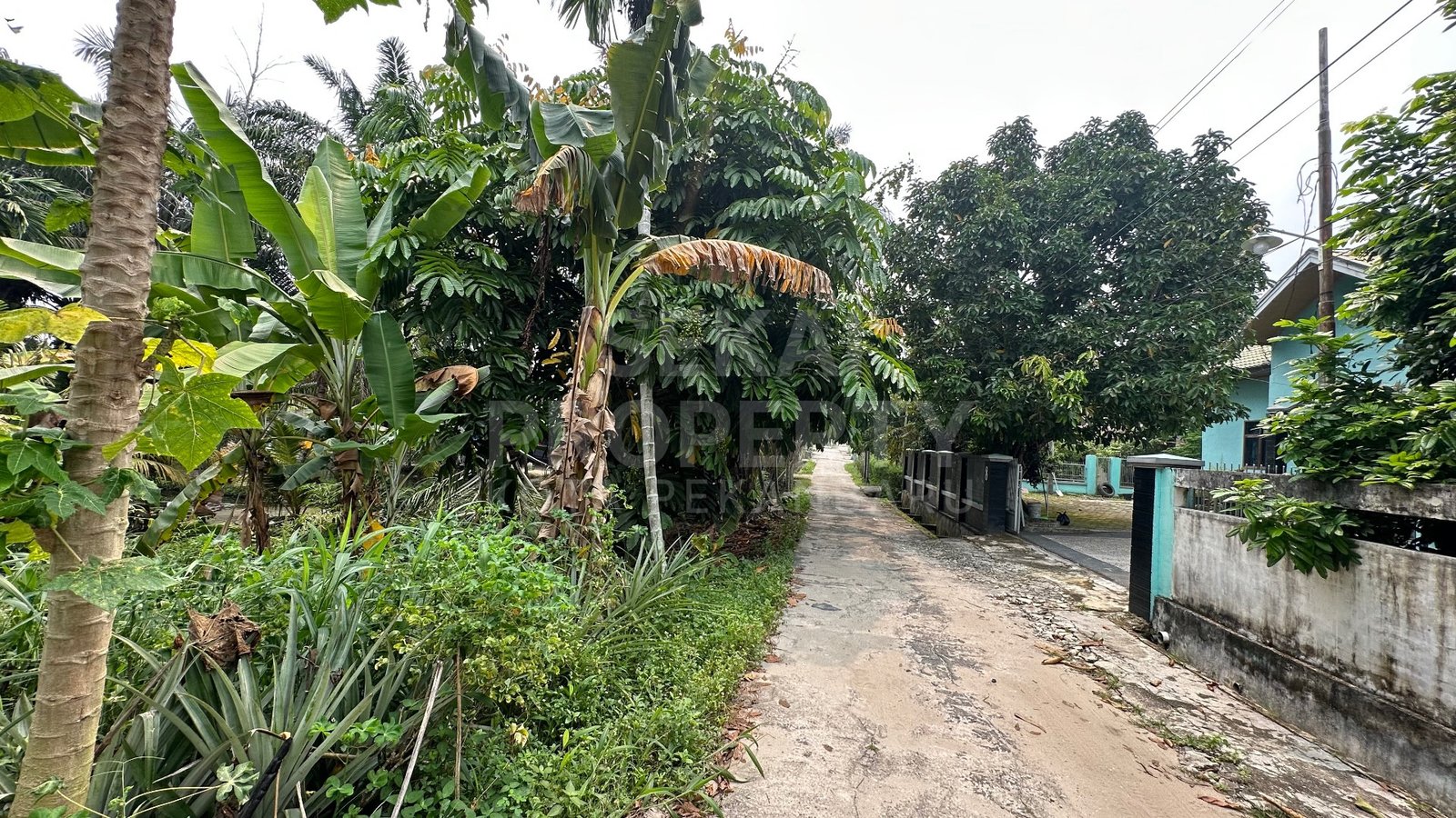 Dijual Tanah Keras Lokasi Di Jl. Flamboyan 3