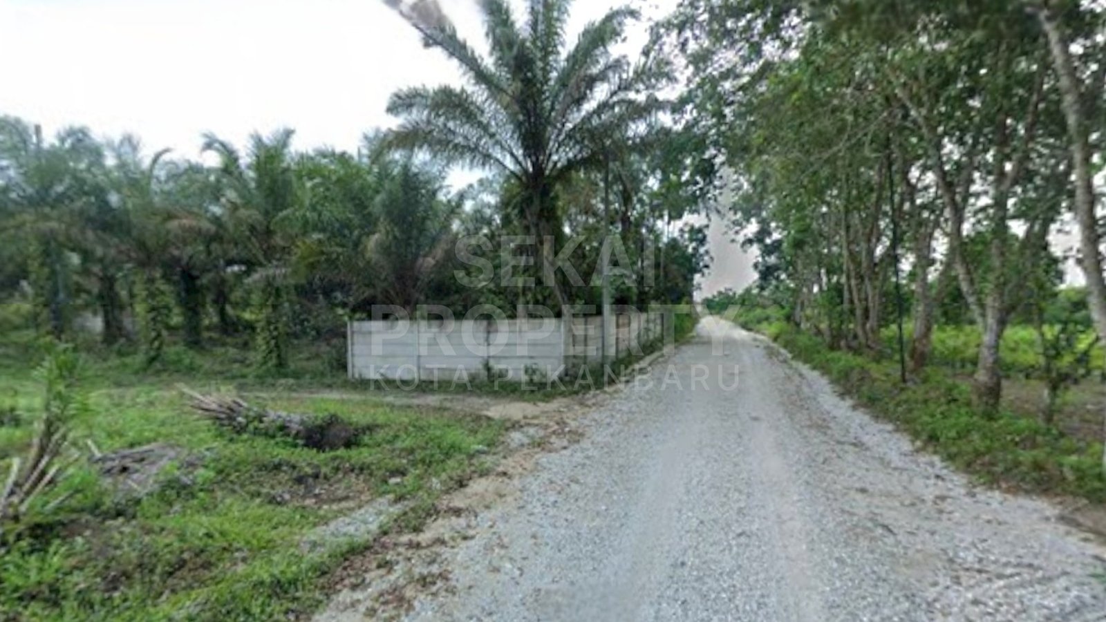 Dijual Sebidang Tanah Keras Lokasi Jl.garuda Sakti Km 7 -pekanbaru