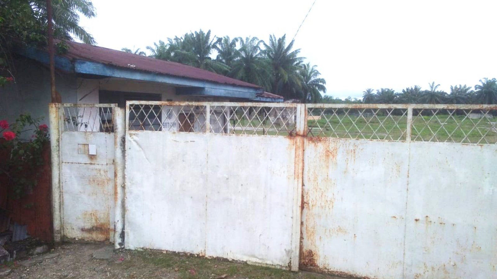 Dijual Tanah Keras Dan Siap Bangun Di Aceh - Langsa