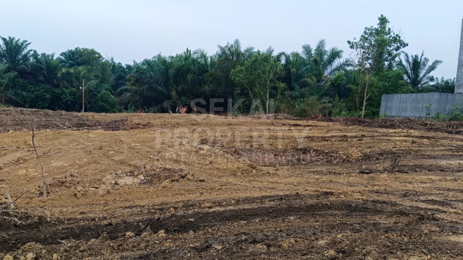 Lihat semua foto