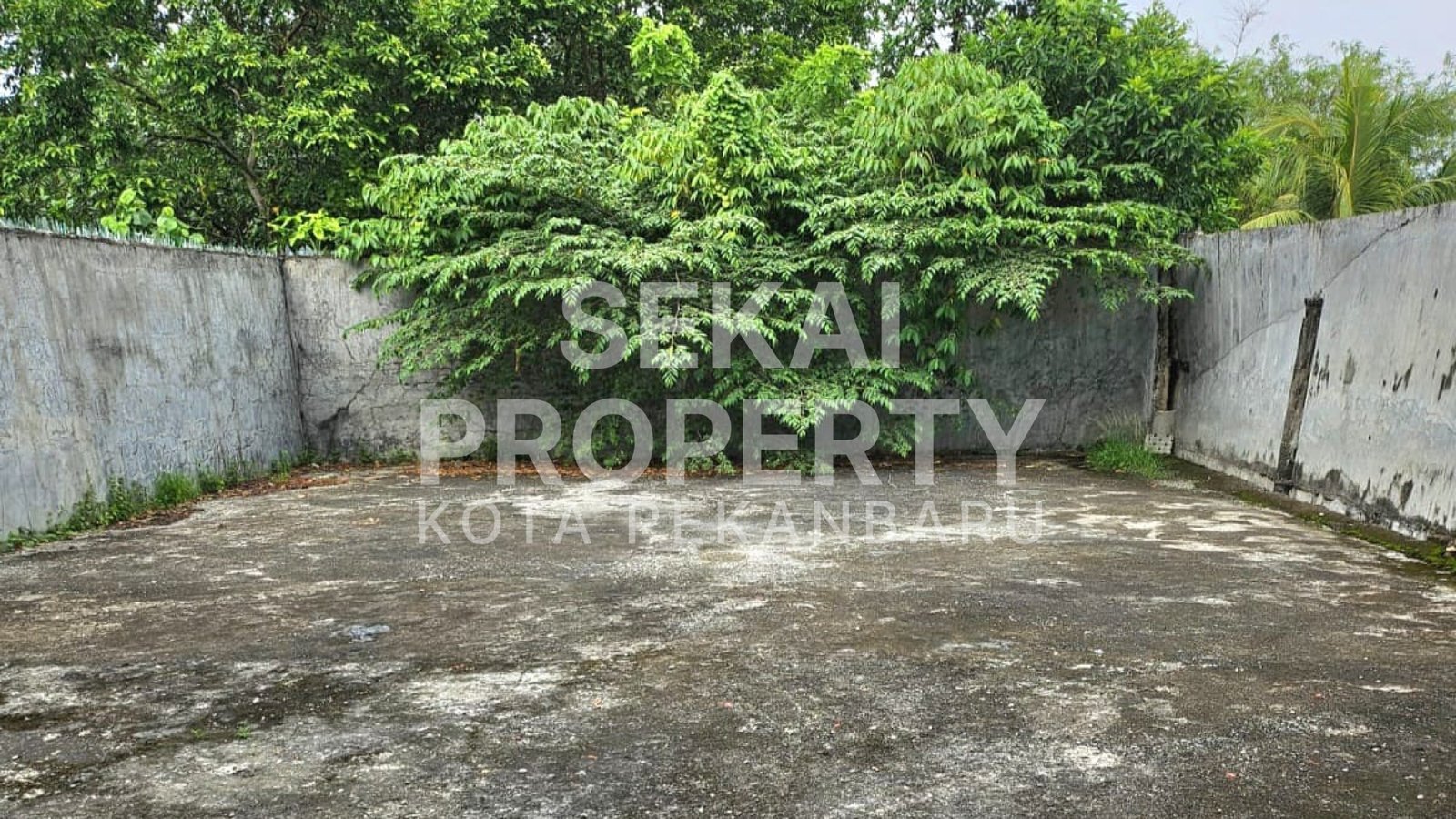 Lihat semua foto