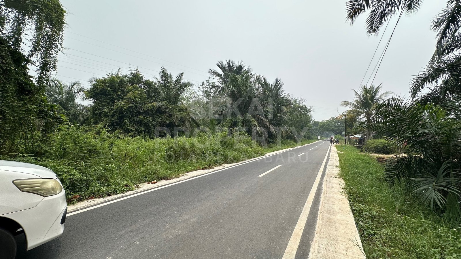 Dijual Tanah Luas Lokasi Rumbai