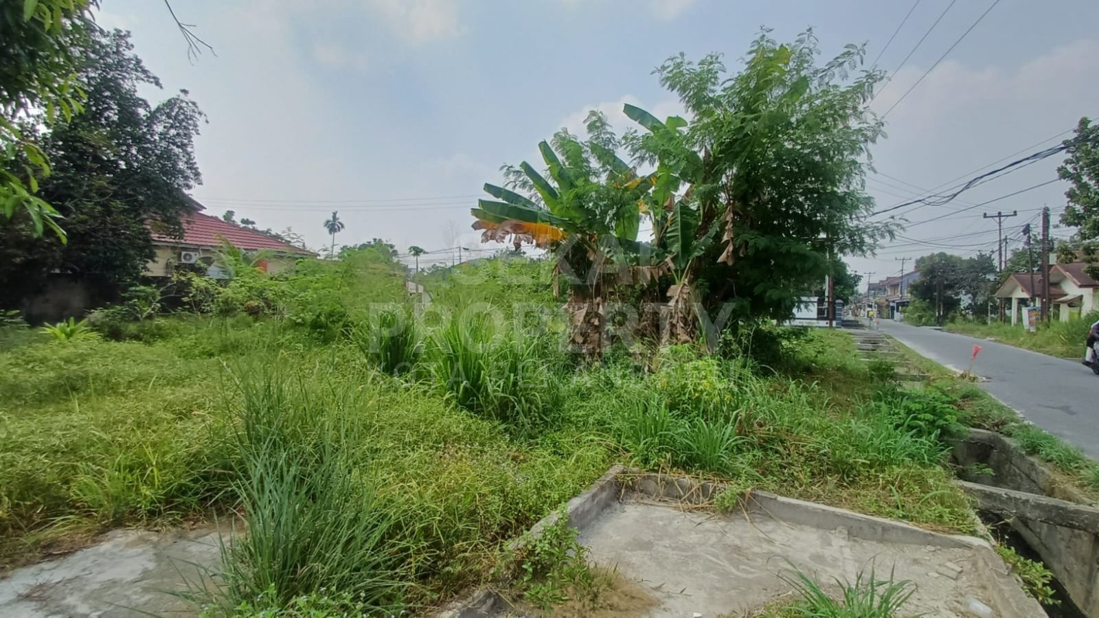 Lihat semua foto