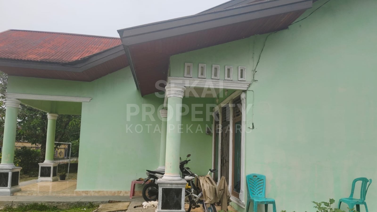 Foto 2