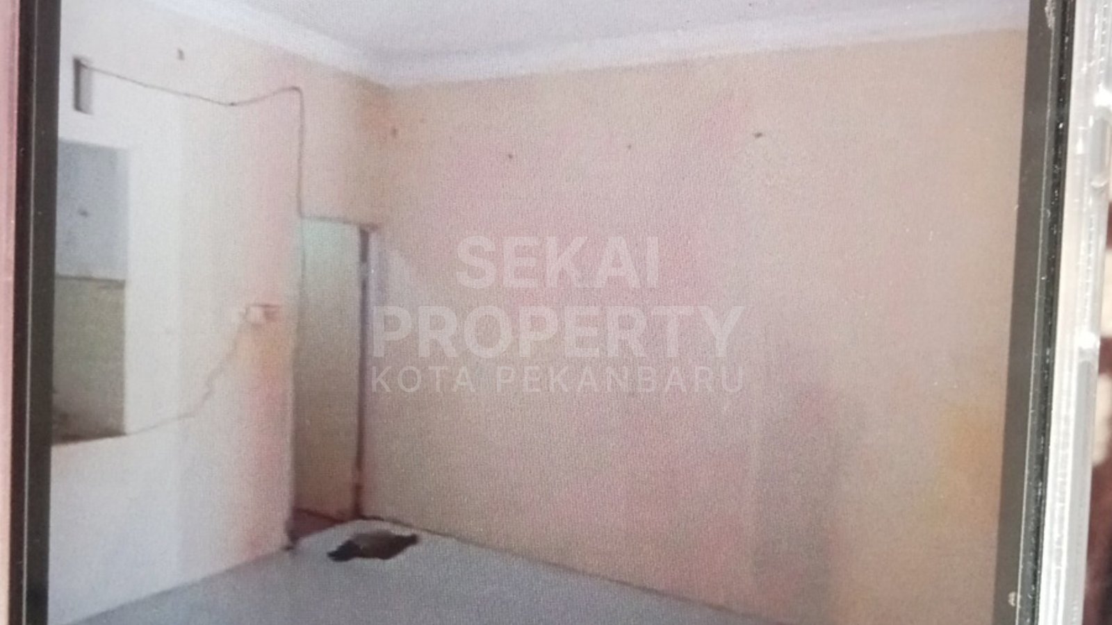 Lihat semua foto