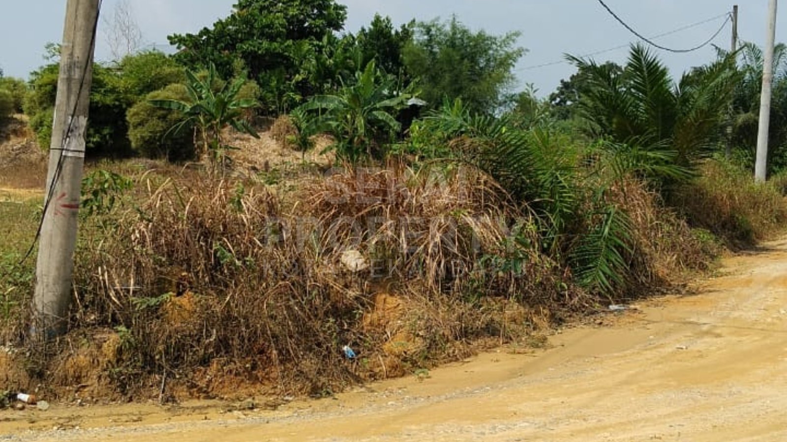 Dijual Tanah 2 Hektar Jl Cipta Nusa, Okura Rumbai Pekanbaru