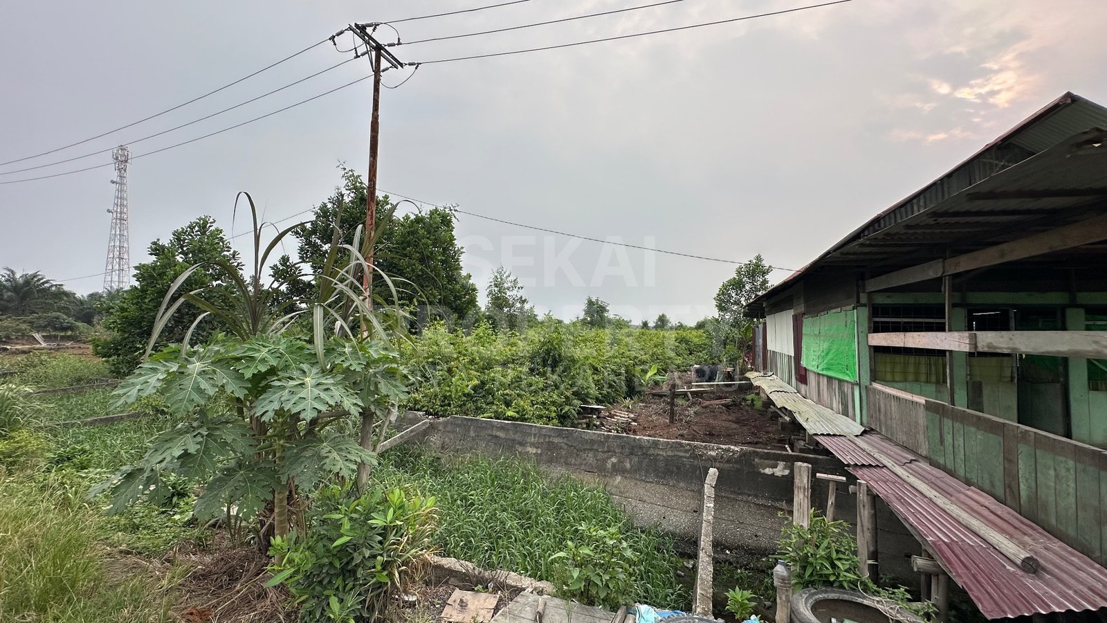 Dijual Sebidang Tanah, Lokasi Tepi Jalan Di Pelalawan-kerinci,