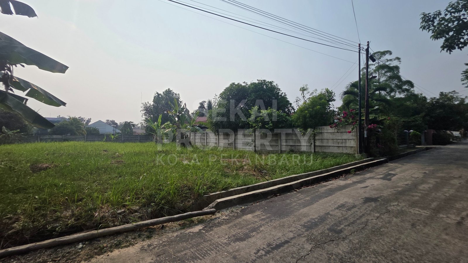 Lihat semua foto