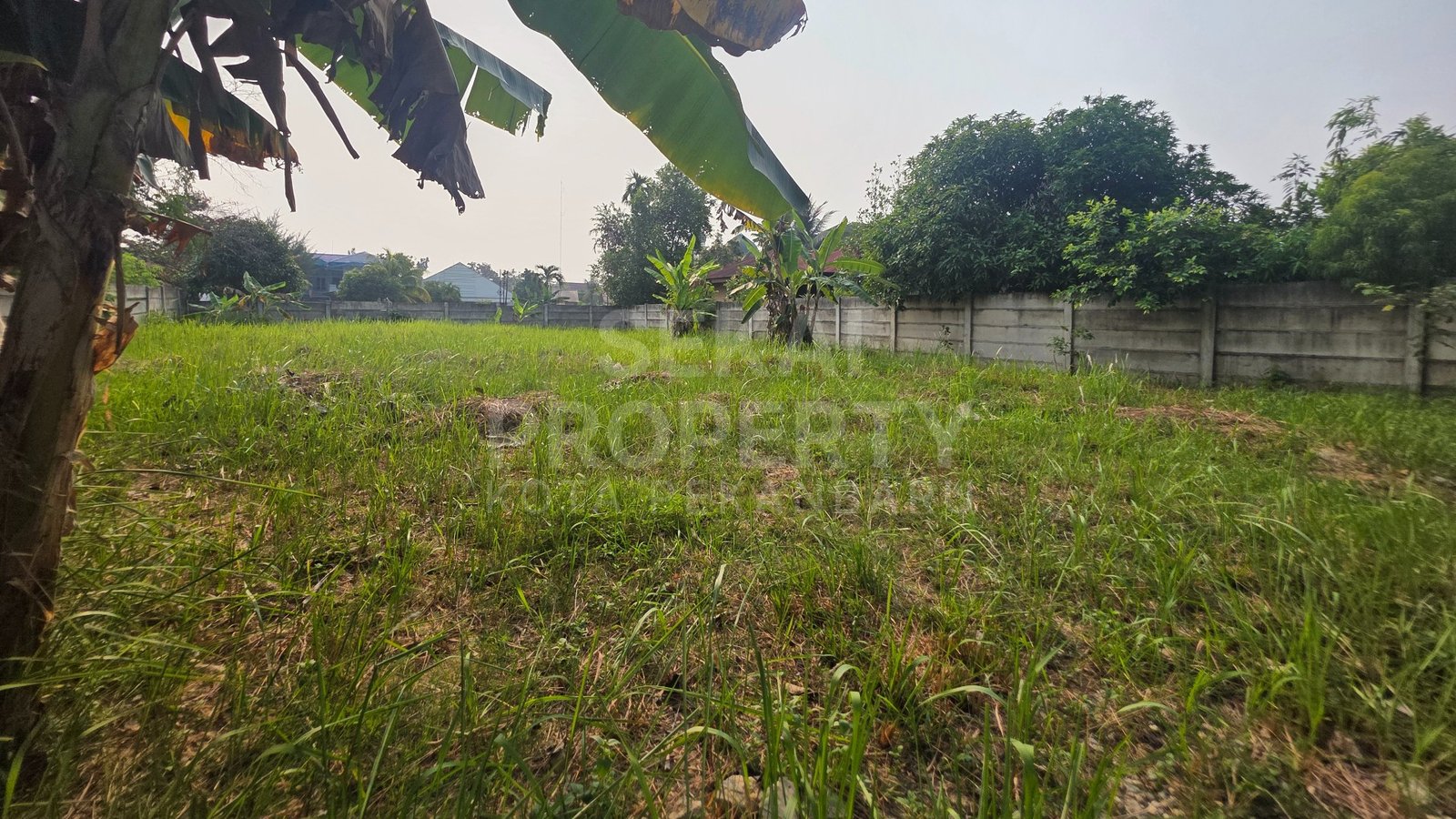 Dijual Sebidang Tanah Sudah Timbun Lokasi Harapan Raya Kelapa Sawit Pekanbaru