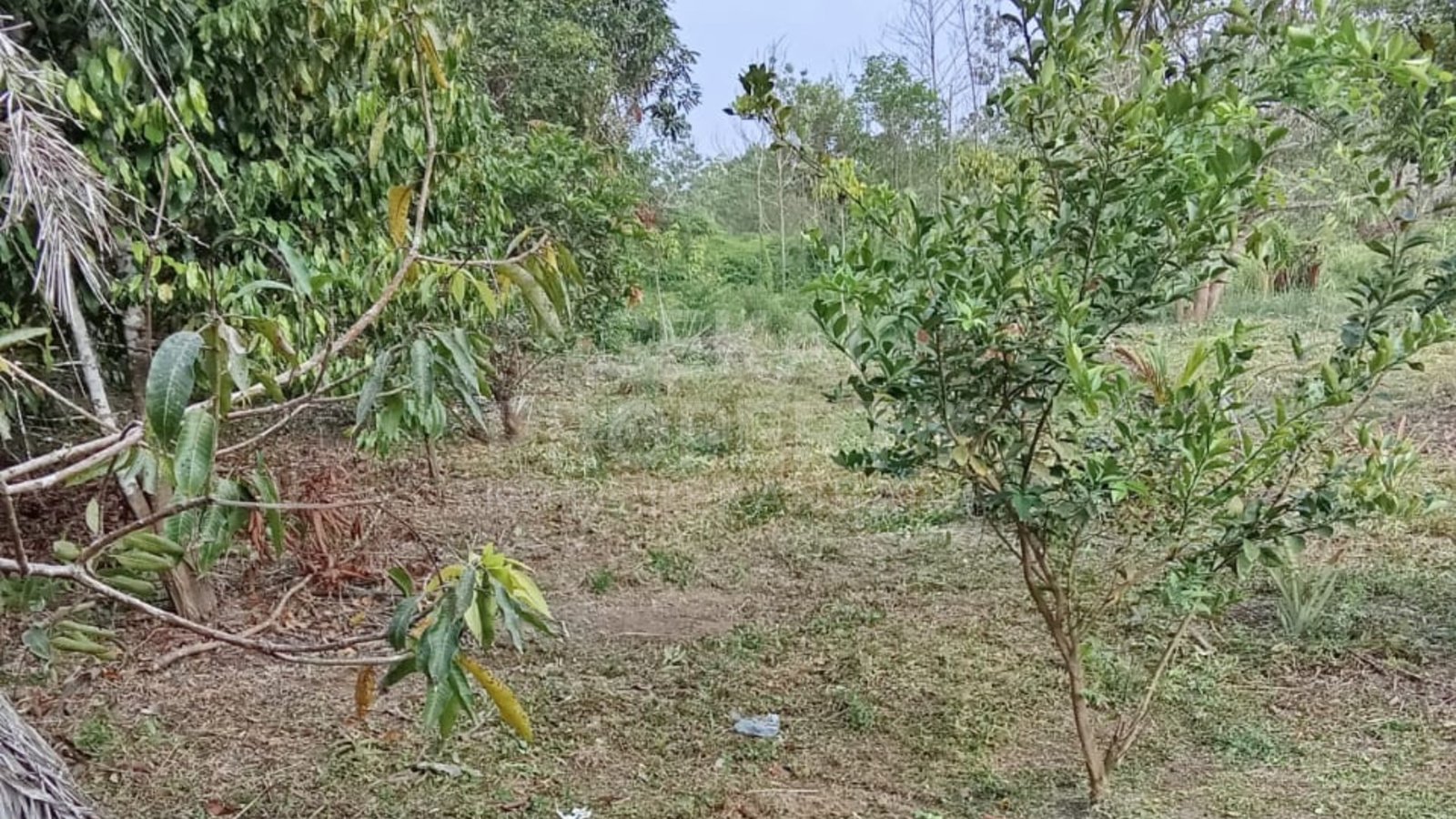 Dijual Tanah Kosong Jl.pemuda Ujung