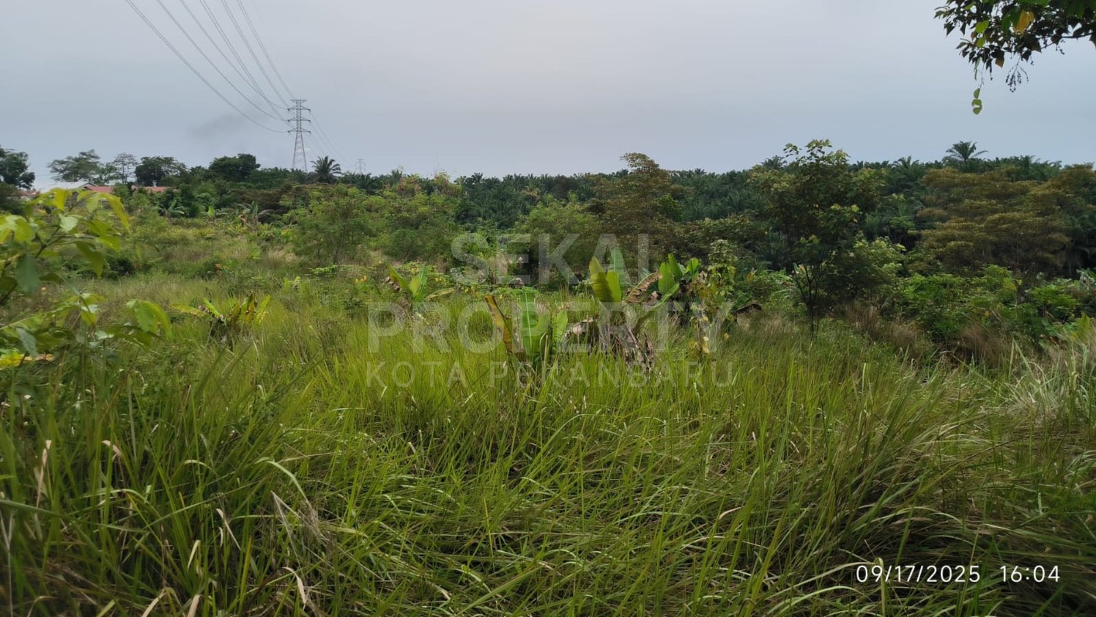 Dijual Sebidang Tanah Lokasi Di Muara Fajar Pekanbaru