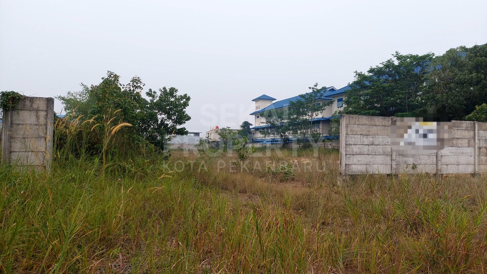 Disewakan Tanah Siap Pakai &amp; Pagar Sekeliling Di Tepi Jalan Asofa