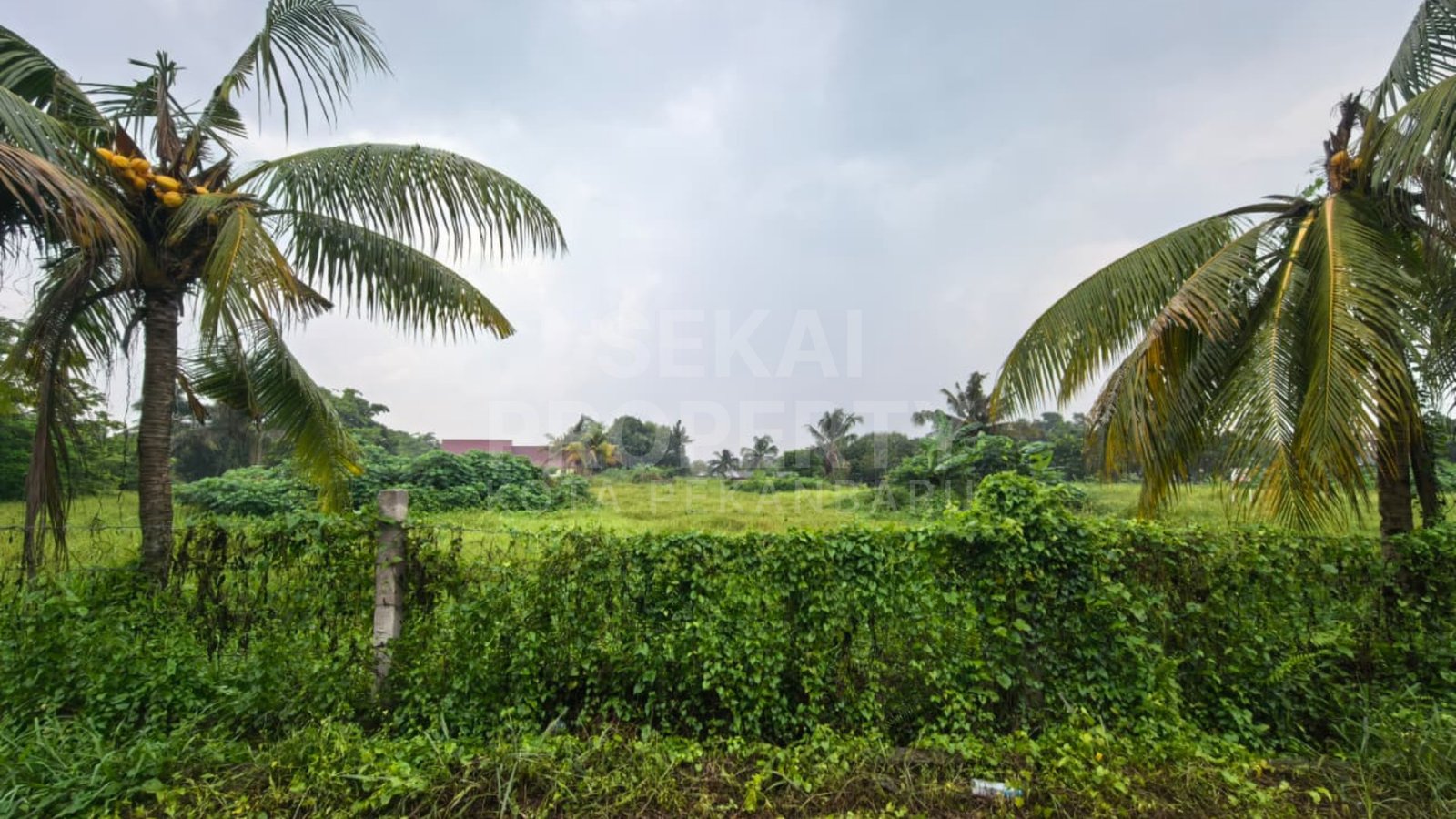 Dijual Tanah Luas Dan Lebar Di Jl. Garuda / Panam