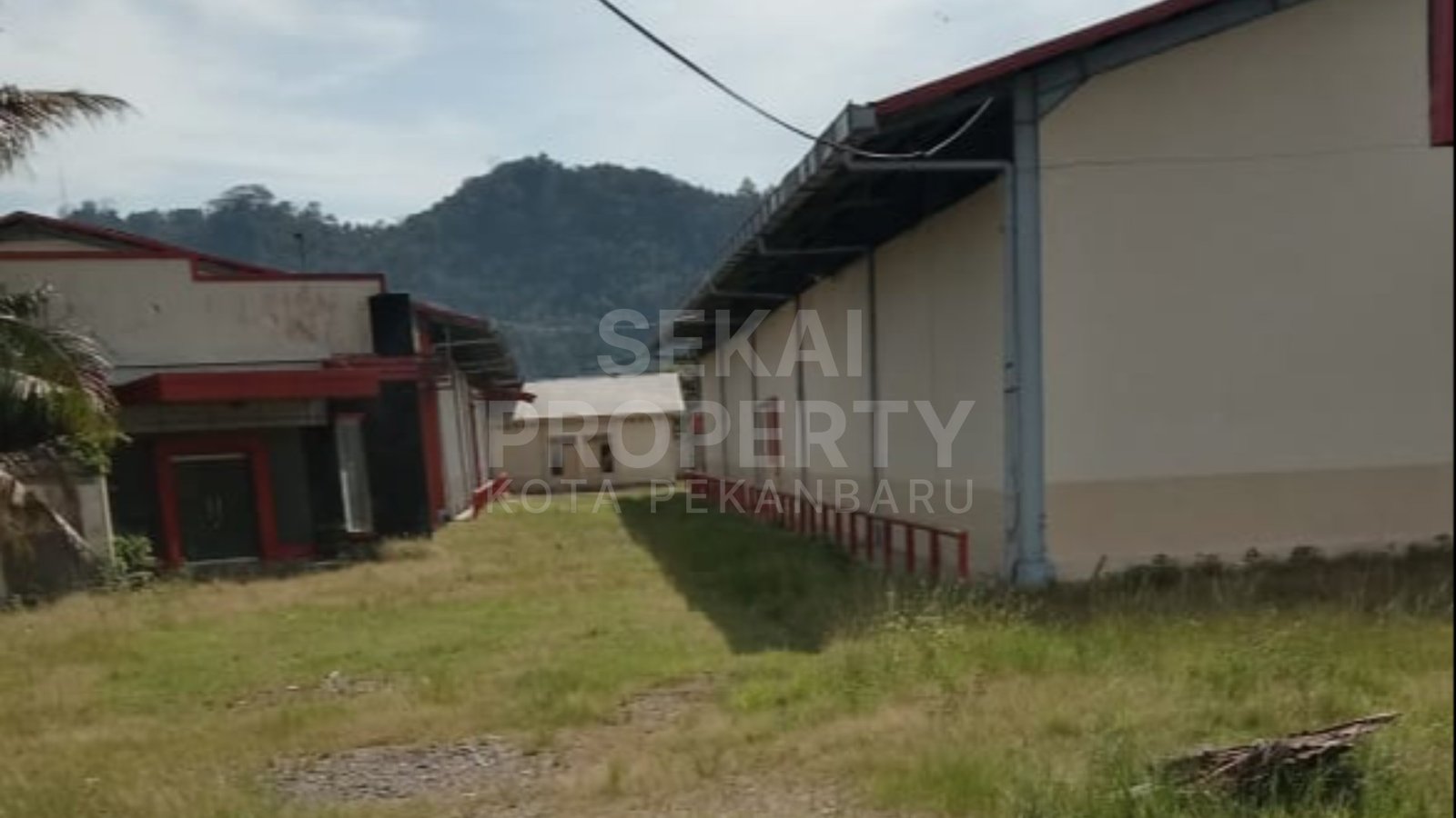Lihat semua foto